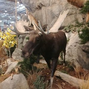 Meet your Posher, Roy